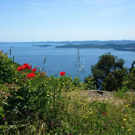 Charming And Bright Apt,walking Distance To Beach * Kukljica